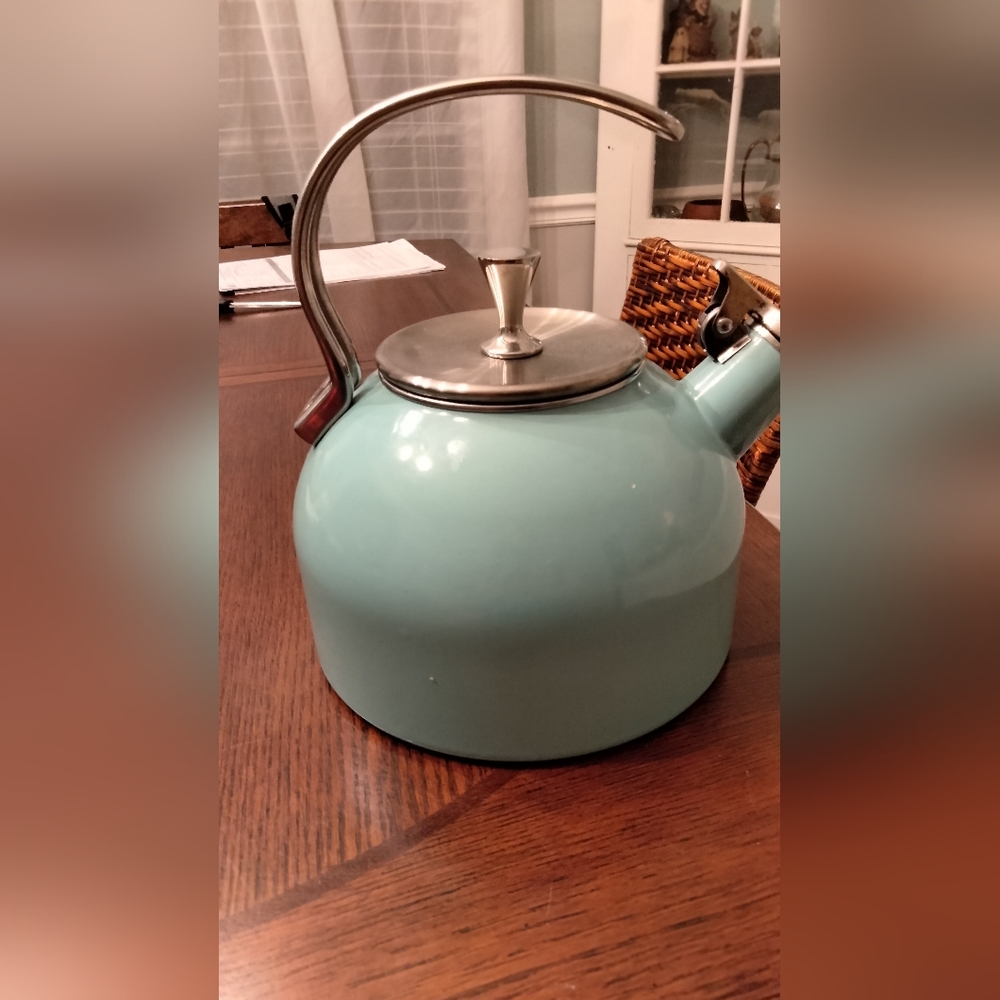 Kate Spade Aqua Stainless Steel Whistling Kettle